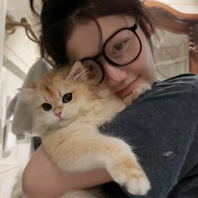 最后的维米尔
